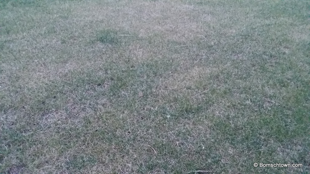 Rasenpflege: Zeitstrahl des Sähens bis zur Rasenpflege › Hausbau in